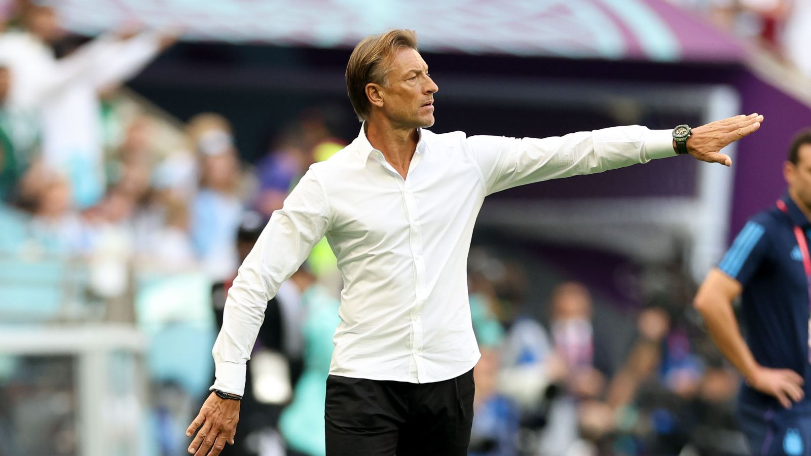 Hervé Renard quits as Saudi Arabia boss to become French women's team  manager