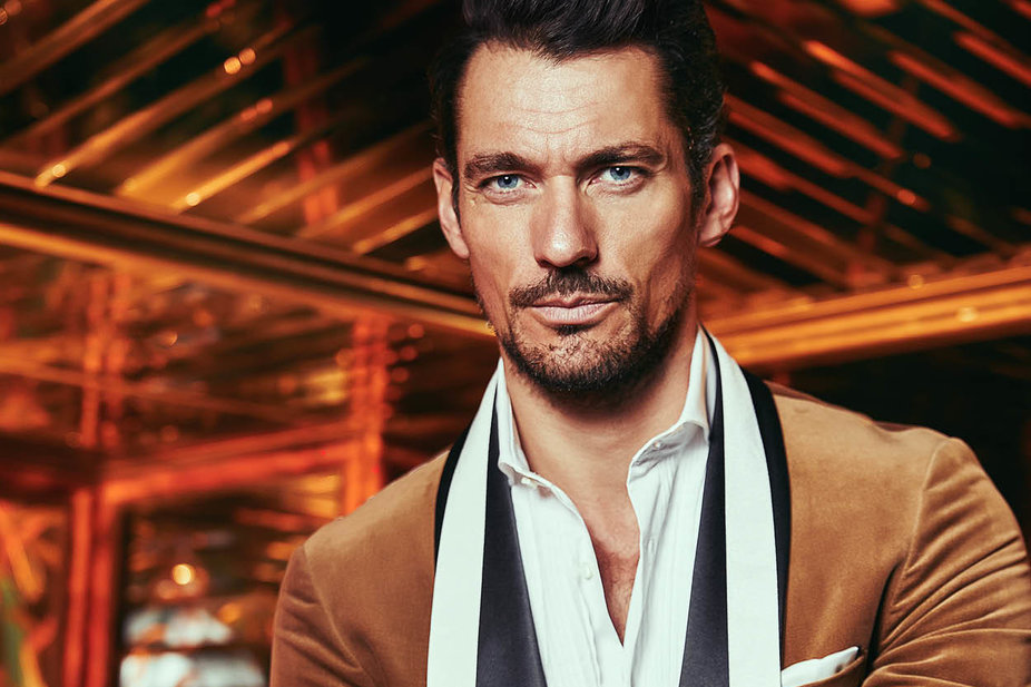 David Gandy: More than being really, really, ridiculously good-looking ...