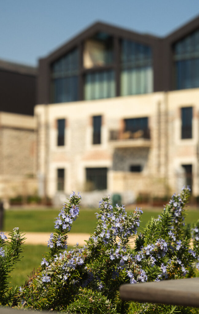 Aliée Istanbul: A New Kind of House on the Golden Horn